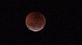 ab6a3342a55e1c928c3449c67c957780.jpg___RED_MOON_FYb.jpg